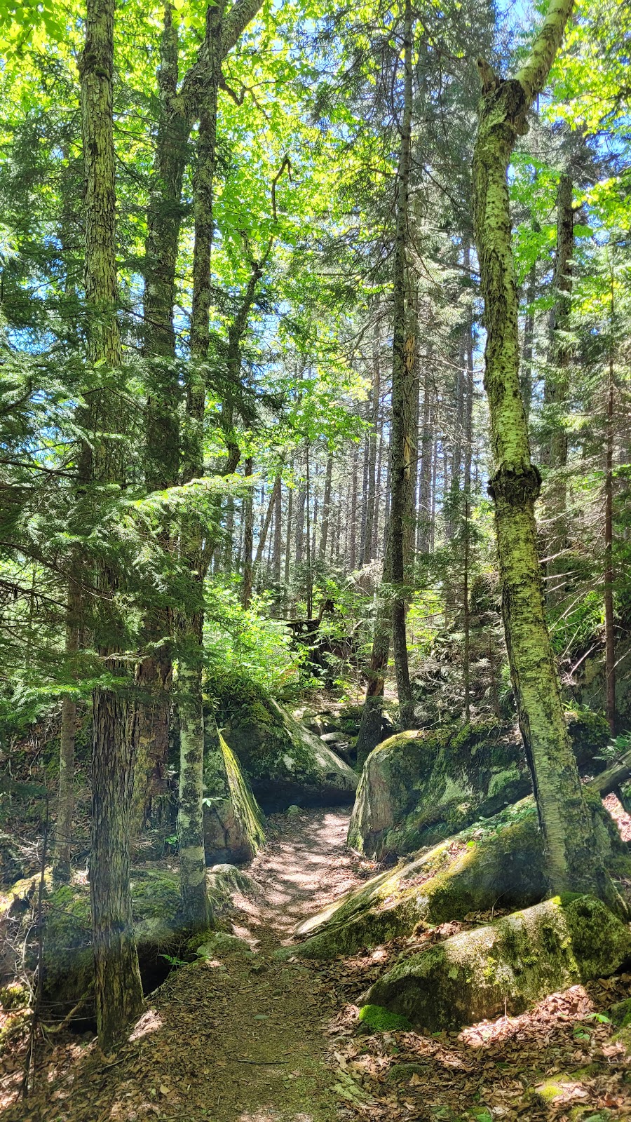 Valley Trail