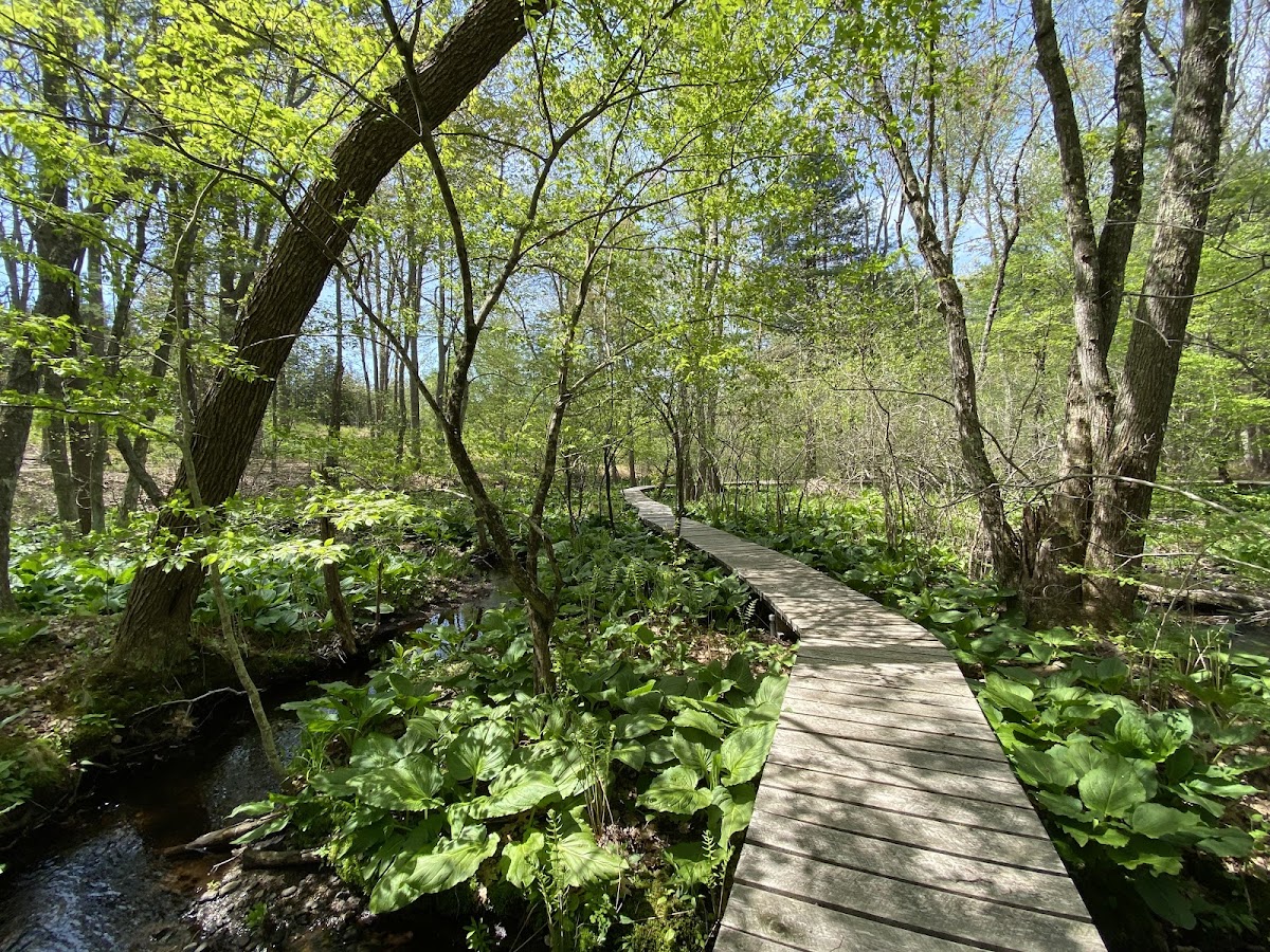 Norcross Wildlife Sanctuary