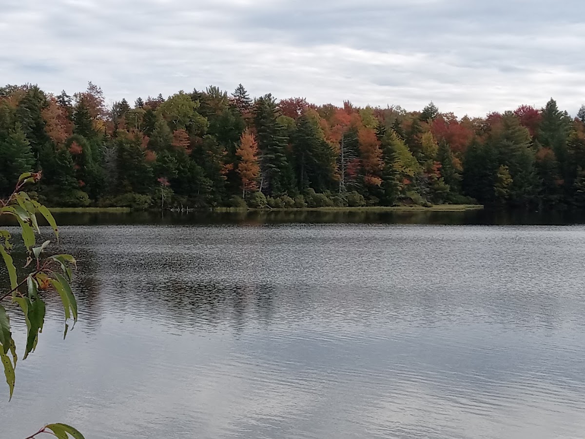 Wantastiquet Lake