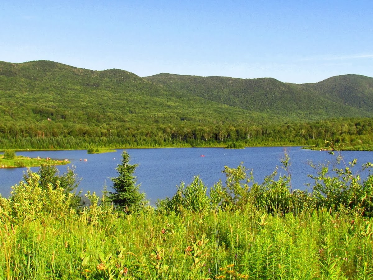 Blueberry lake