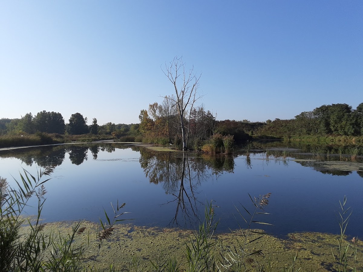 Lot B