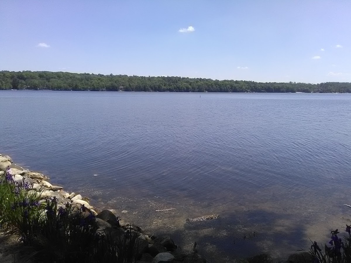 Woodridge Lake