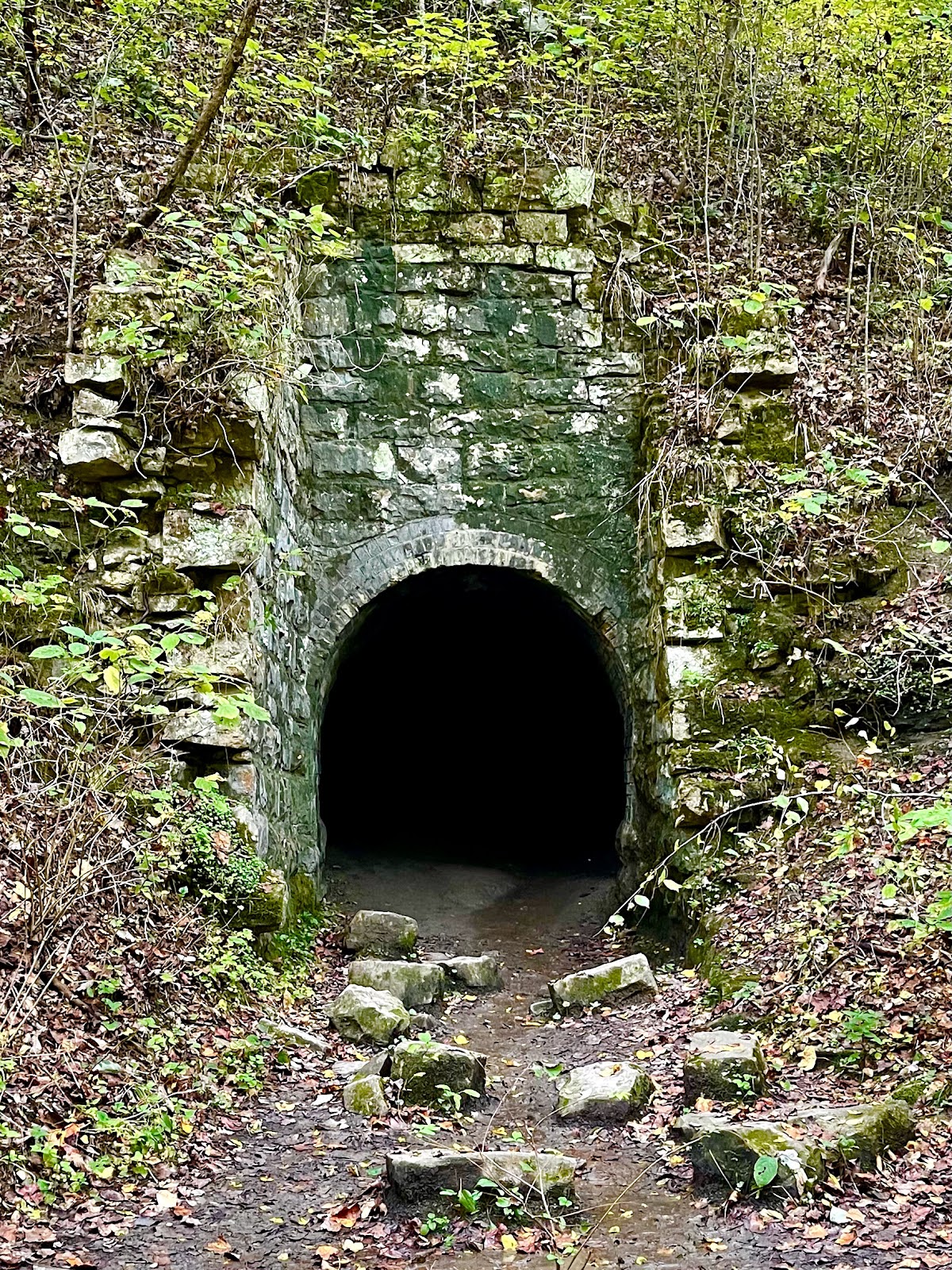 Laurel-Snow State Natural Area