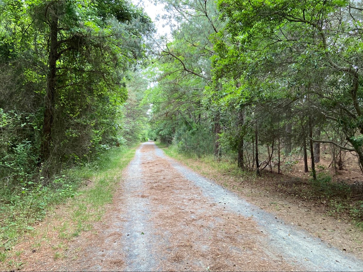 Prickly Pear Trail