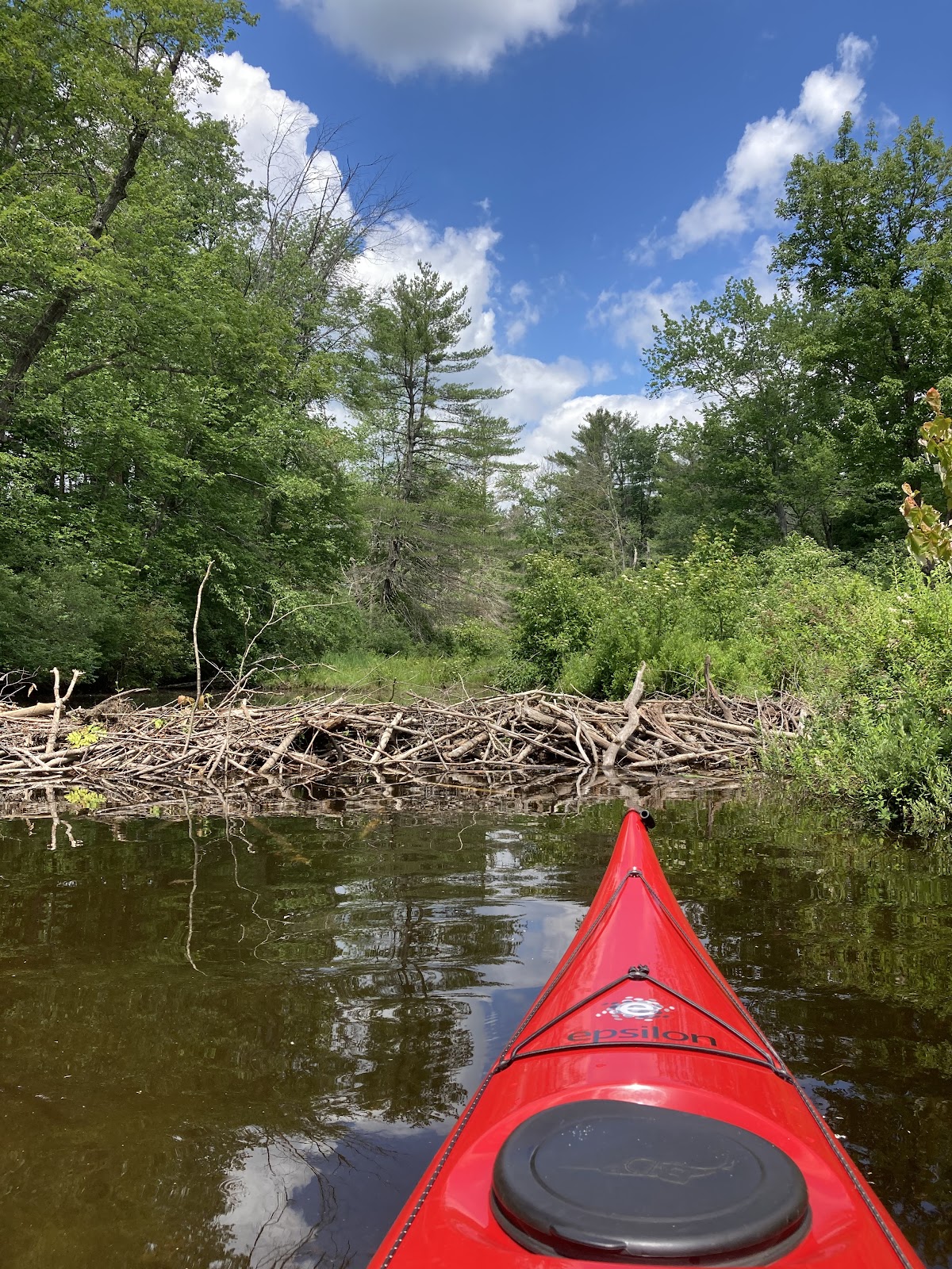Pleasant Lake