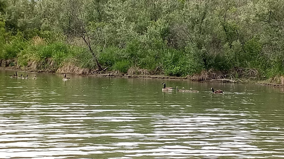 McCook Lake