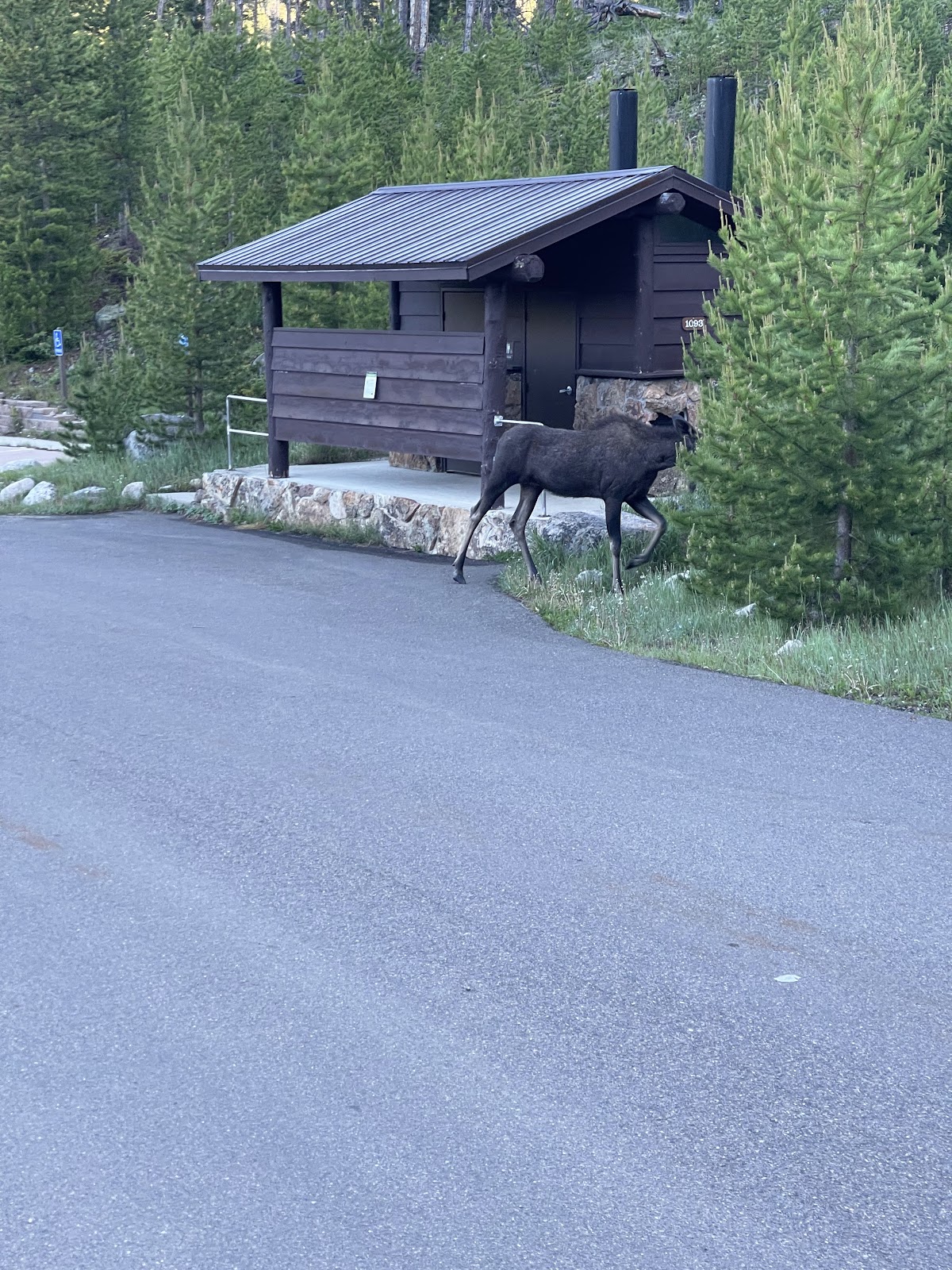 Timber Creek Campground
