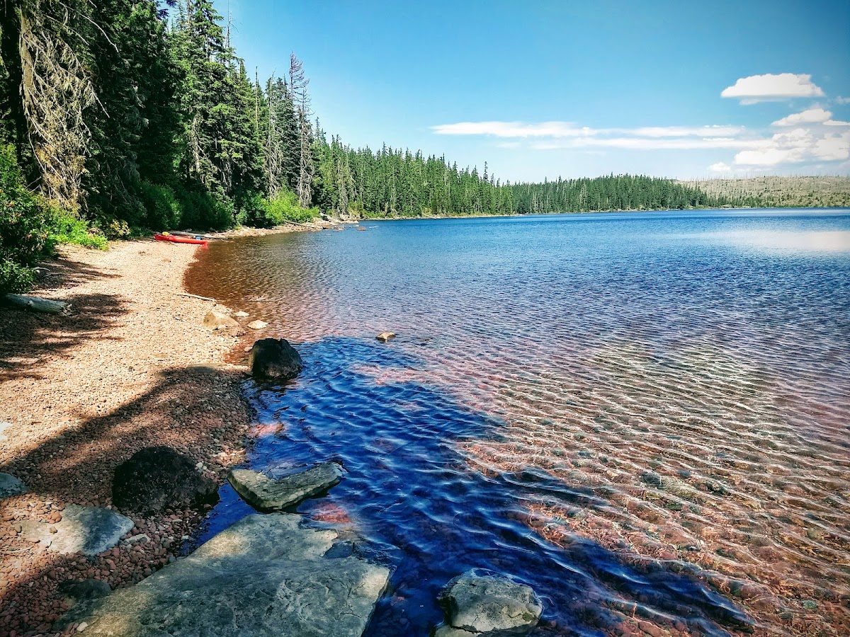 Waldo Lake