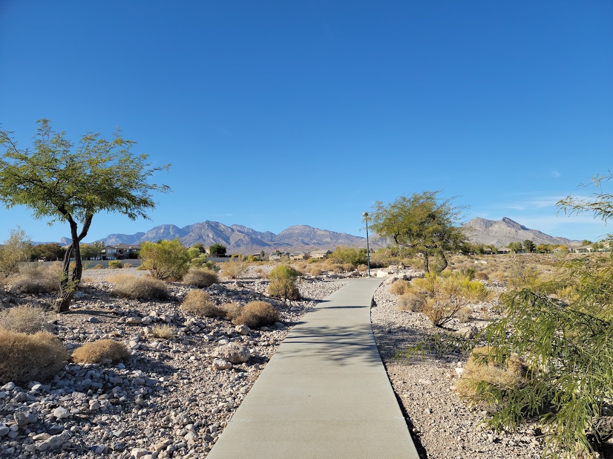 Cottonwood Canyon