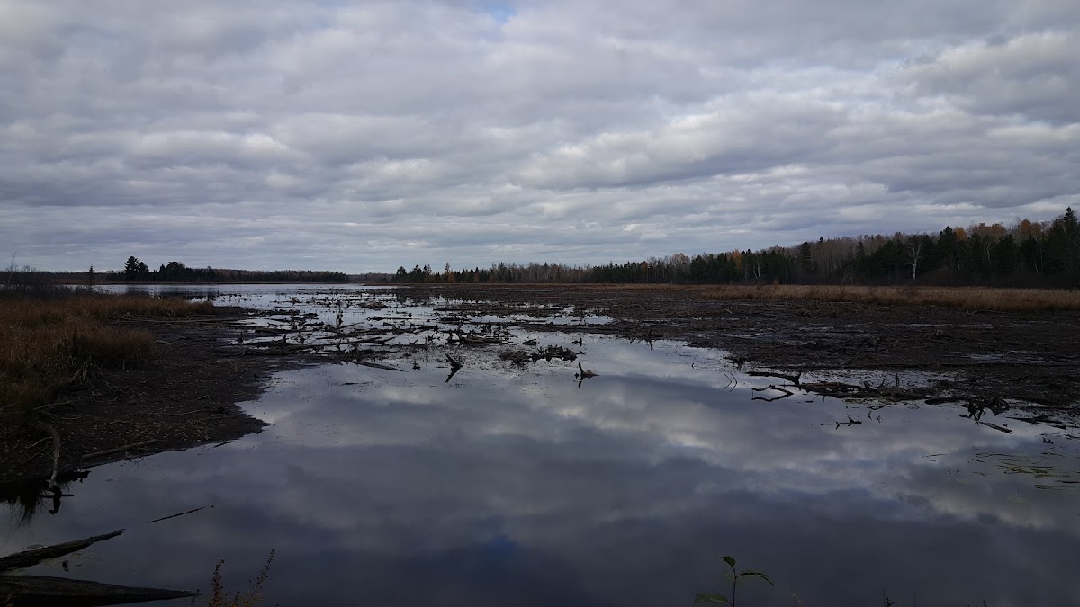 Wilson Flowage