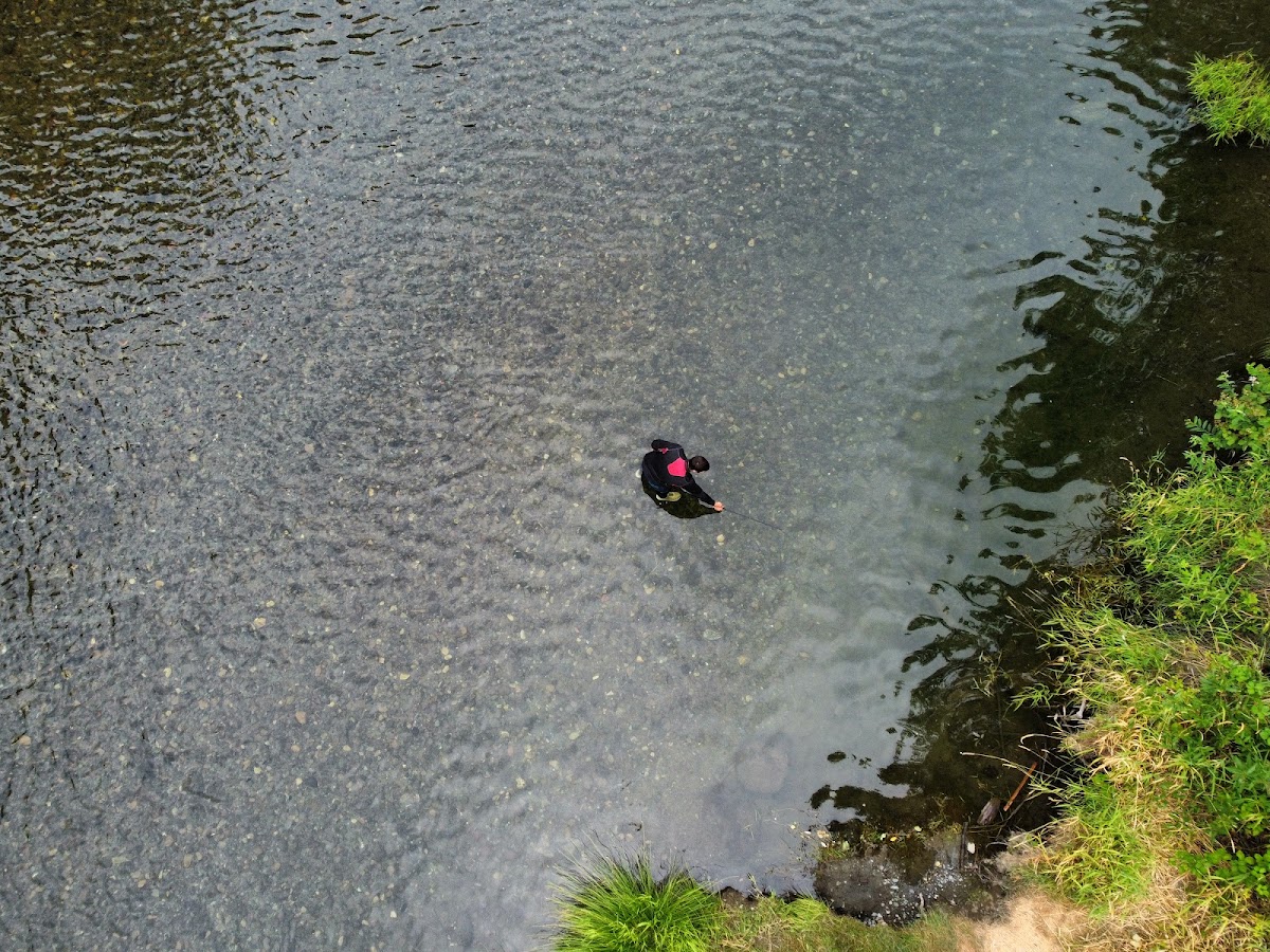 Coquille River
