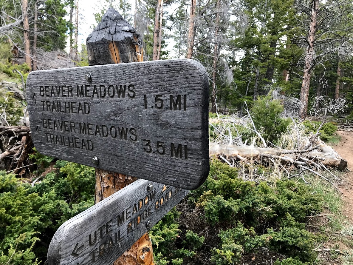 Beaver Mountain Trail