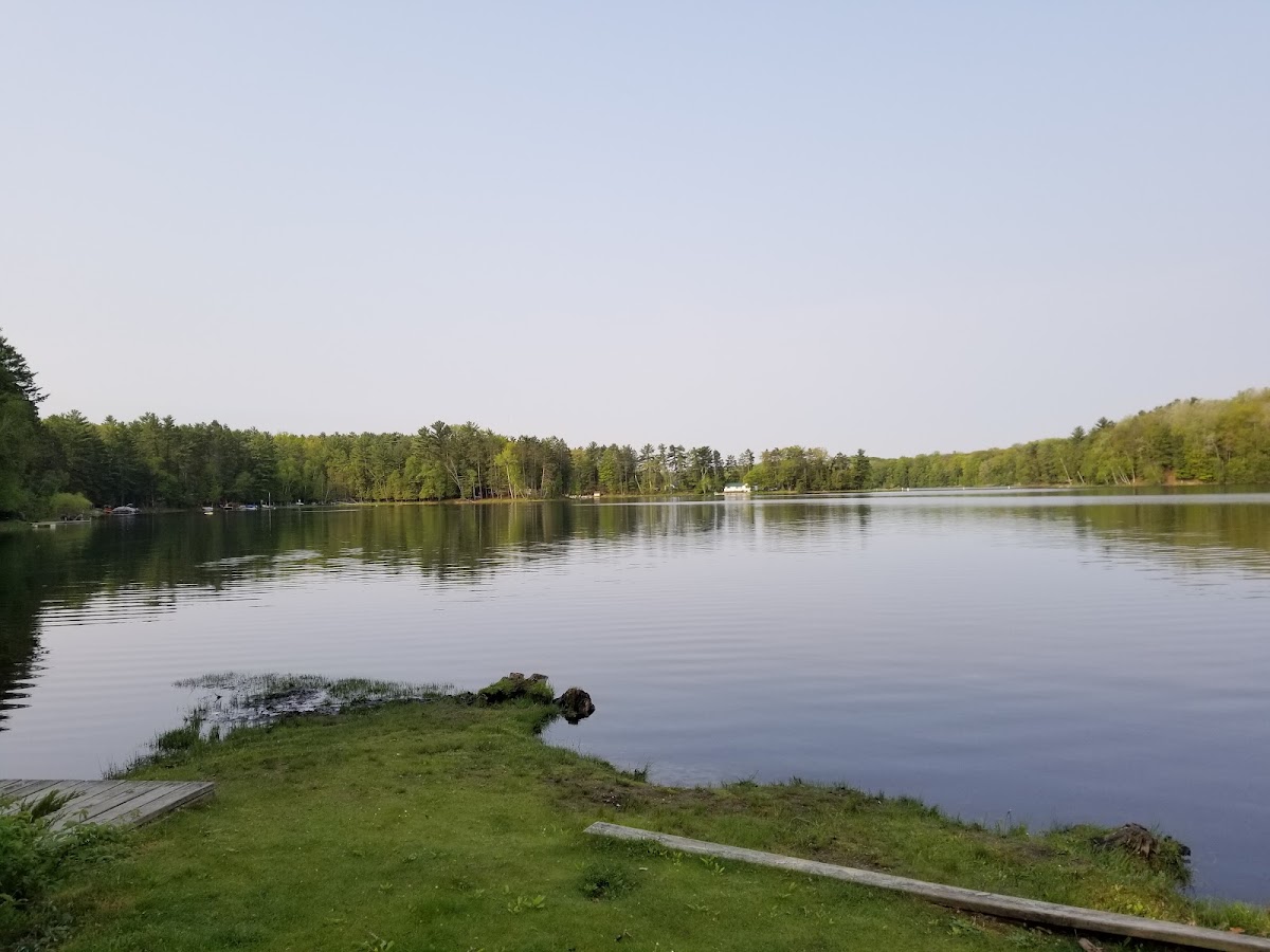 Arbutus Lake
