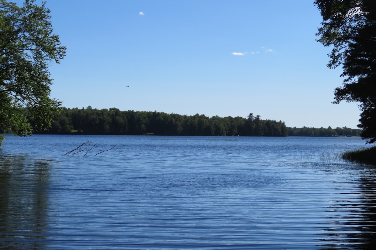 Long Lake