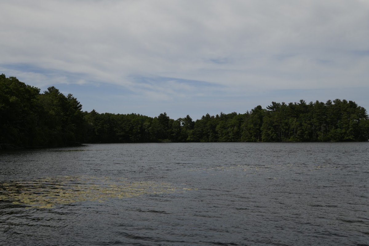 Neponset Reservoir