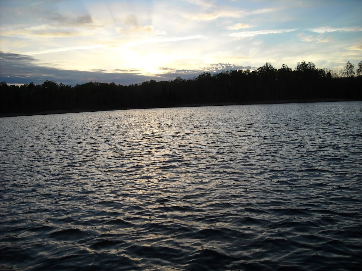 Fletcher's Floodwater