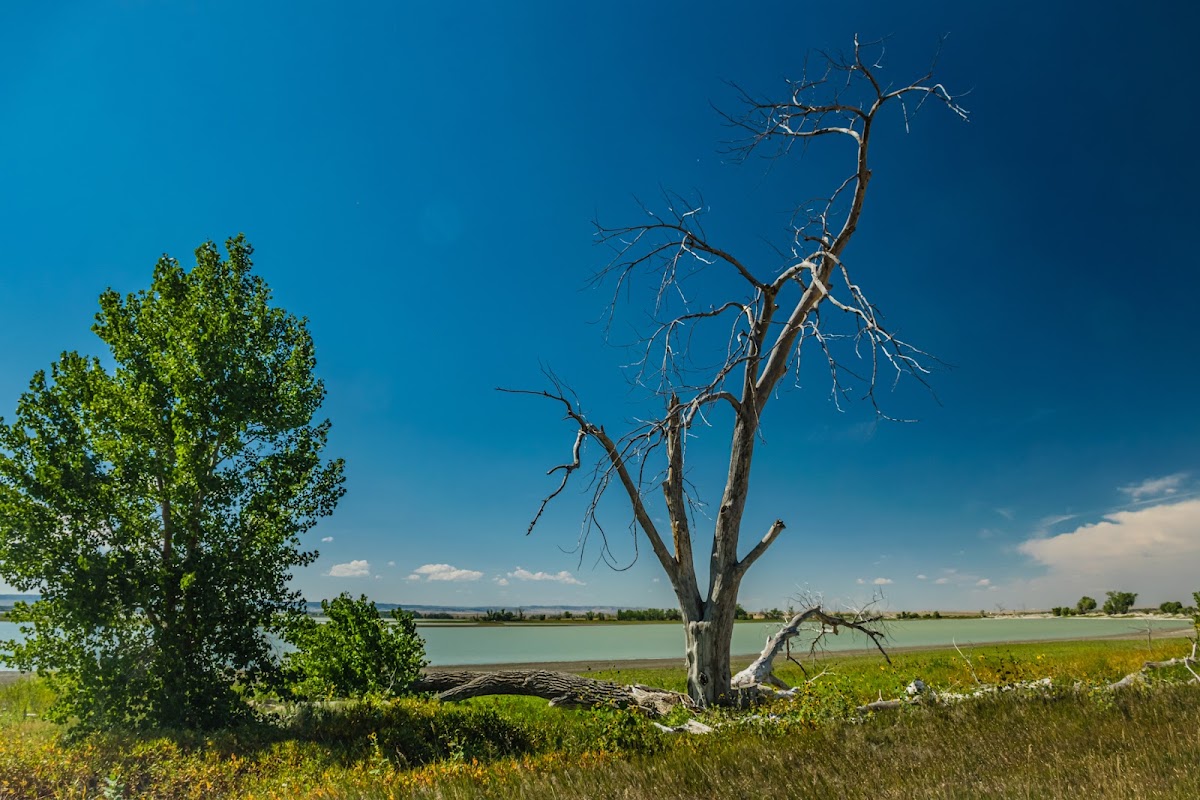 Whitney Lake