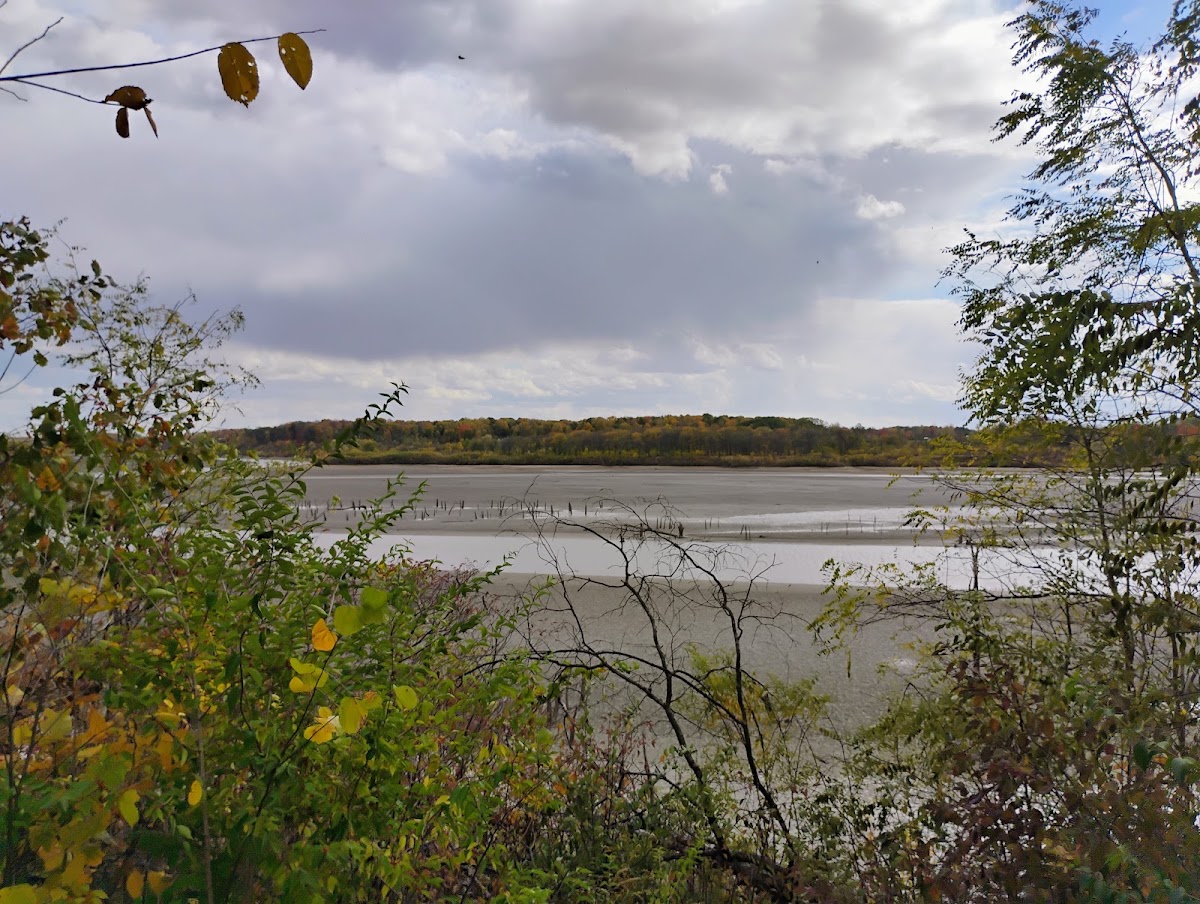 J. Edward Roush Lake