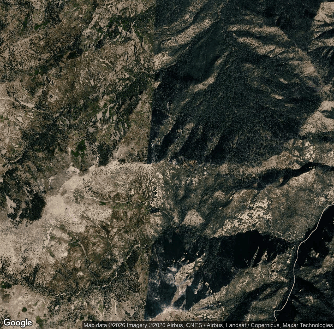 Snowshed Trail #246