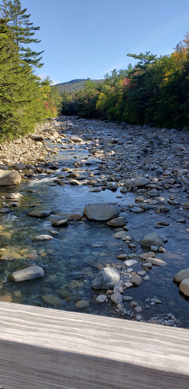 Lincoln Brook Trail