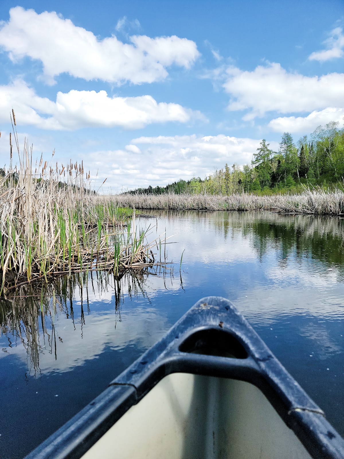 North Country Trail