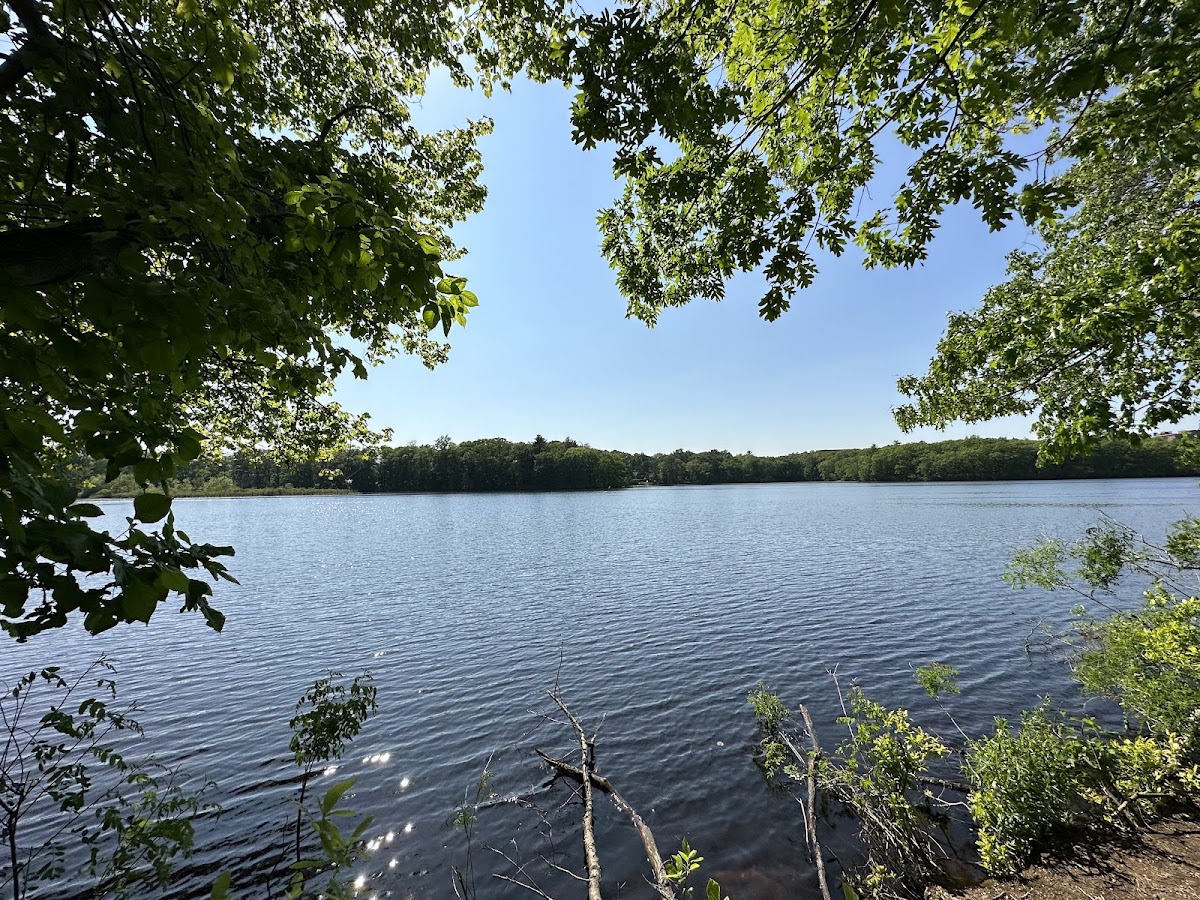 Upper Charles River Reservation