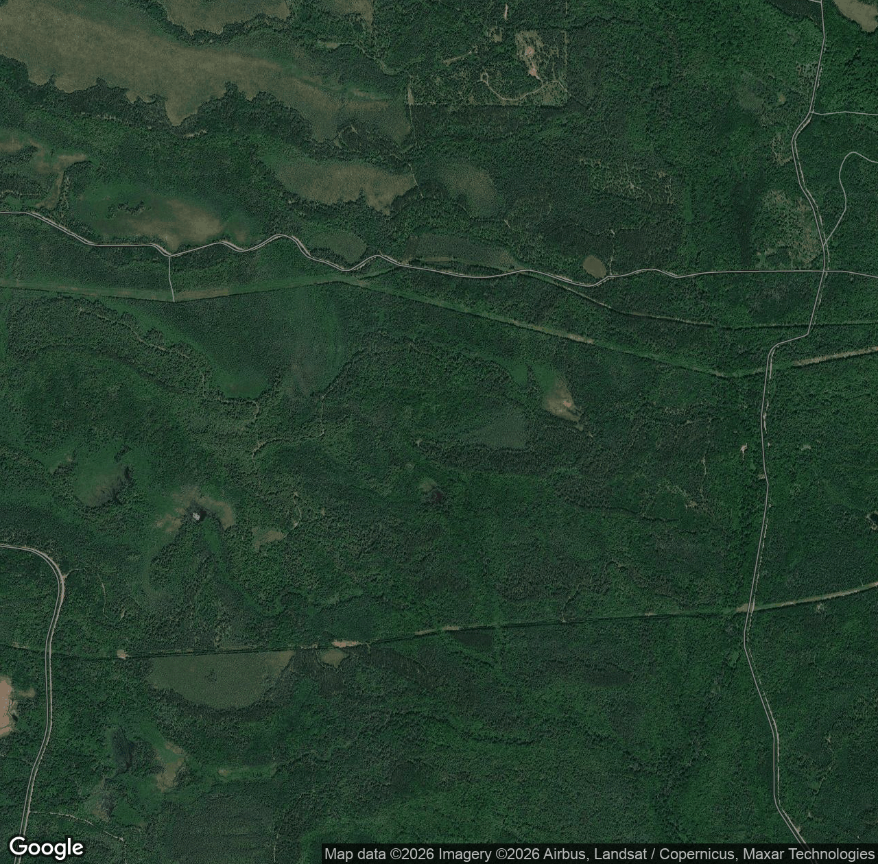 Forest Road 2233Q
