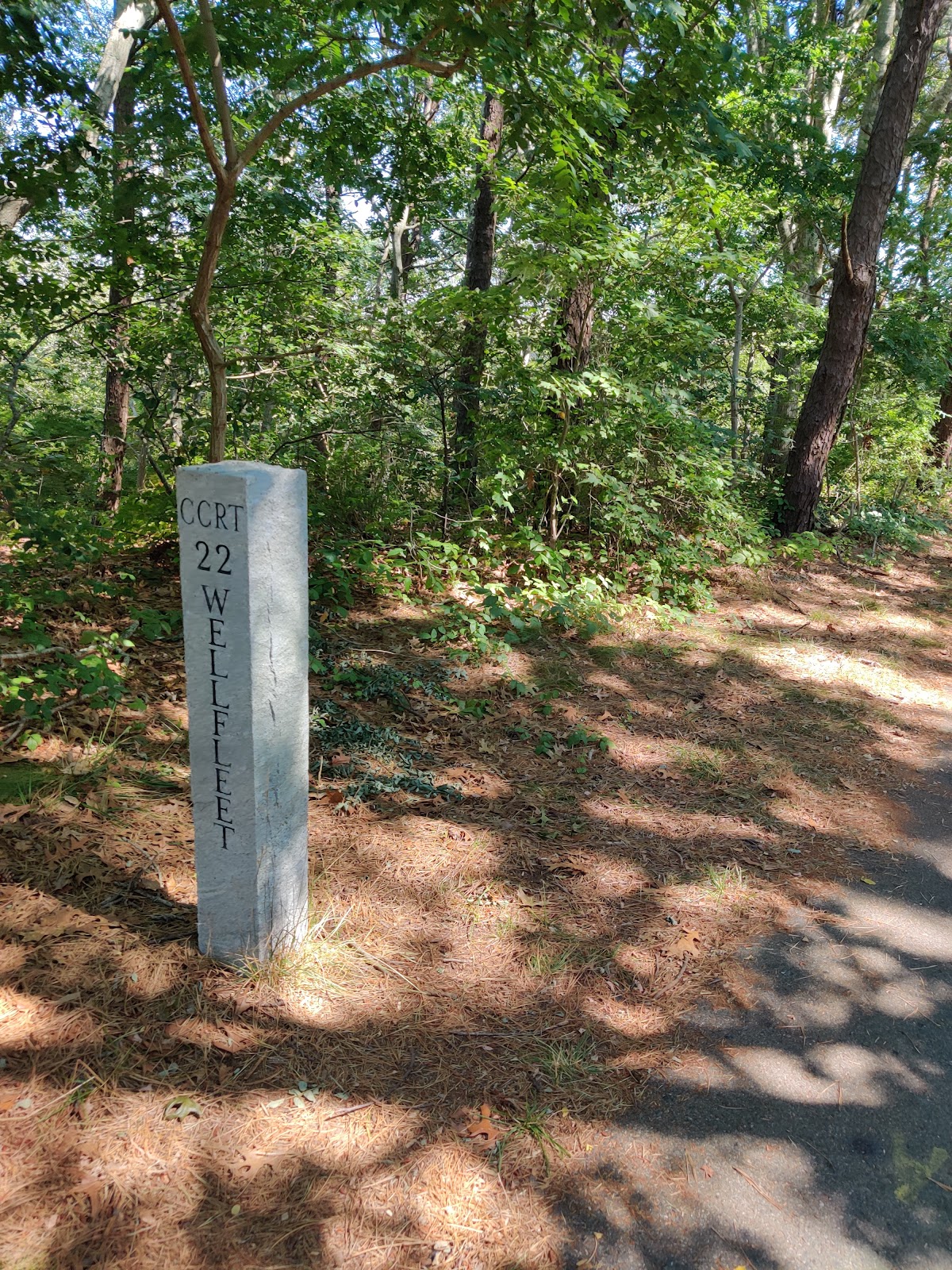 Cape Cod Rail Trail