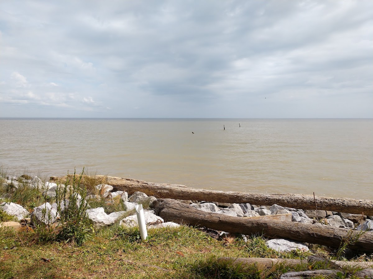 Bayfront Park