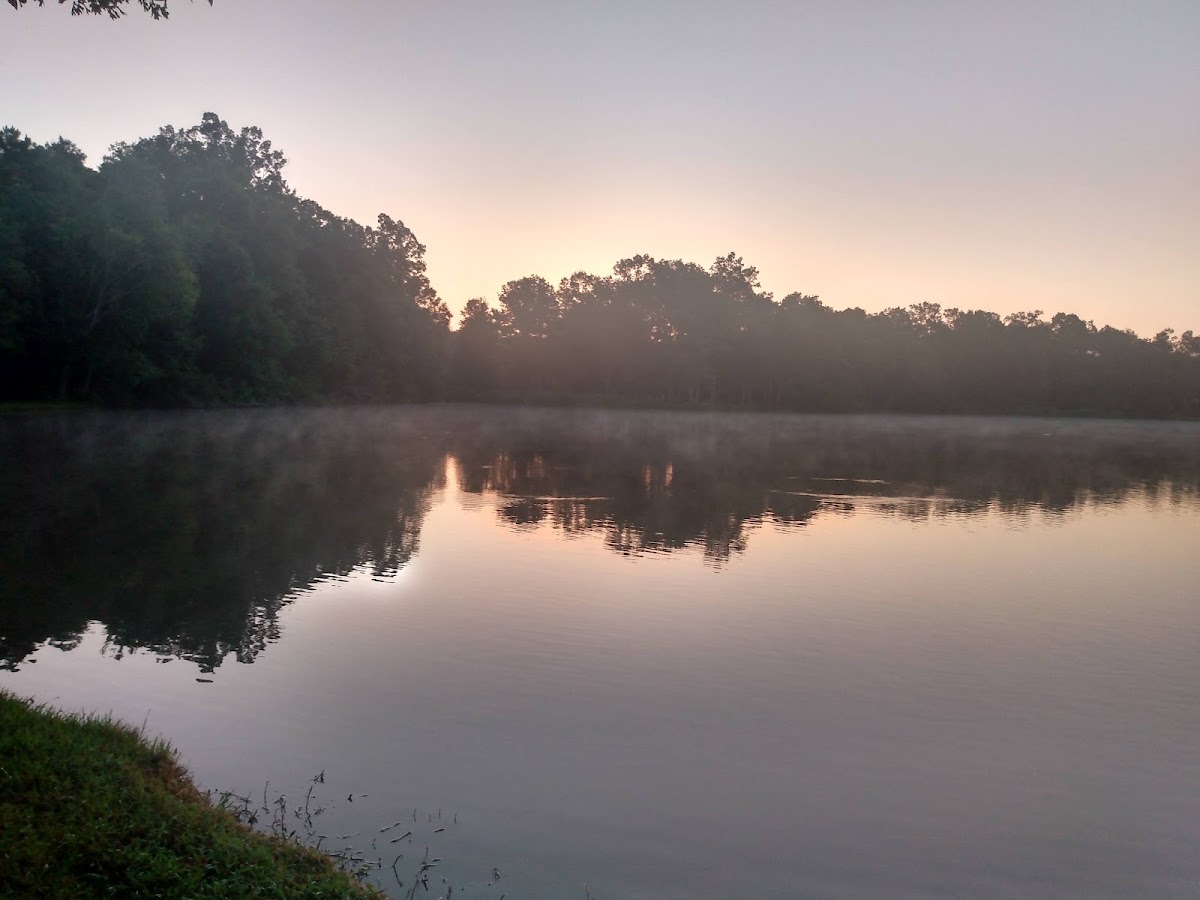 Crowfield Lake