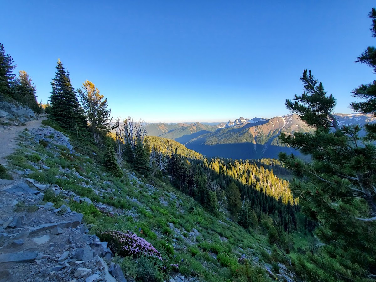Sourdough Ridge Trail