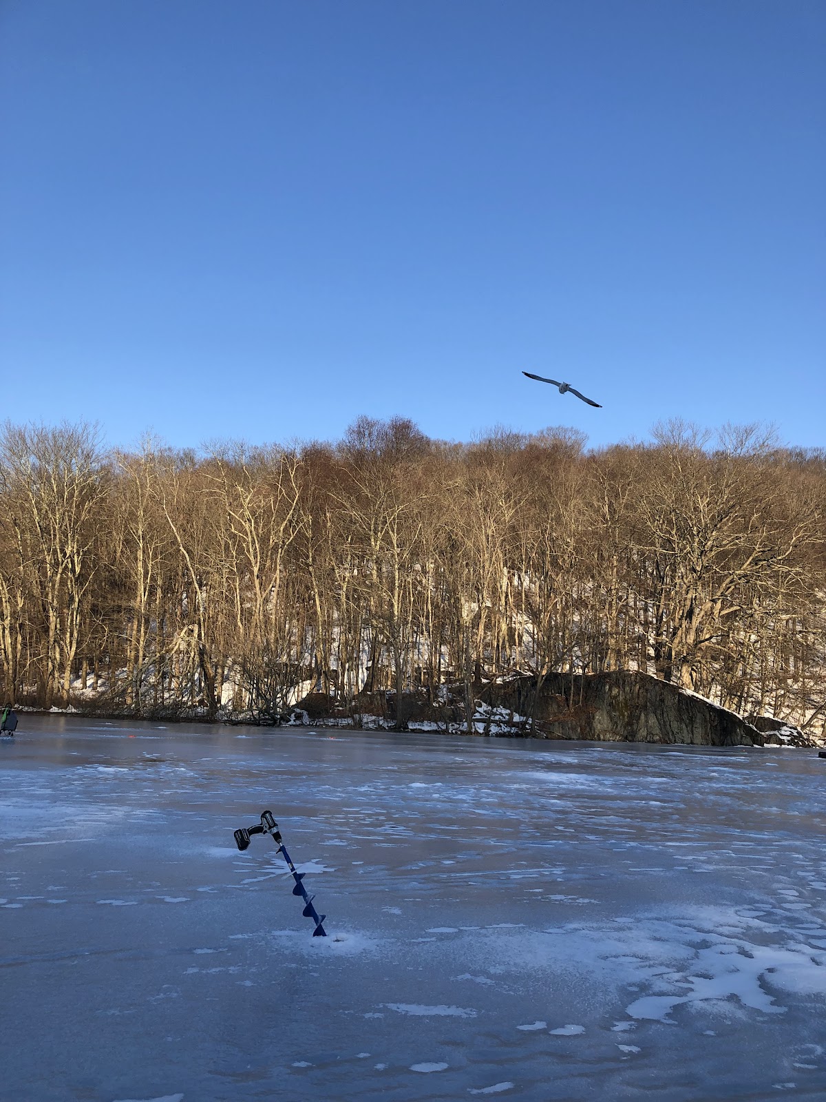 Muscoot Reservoir