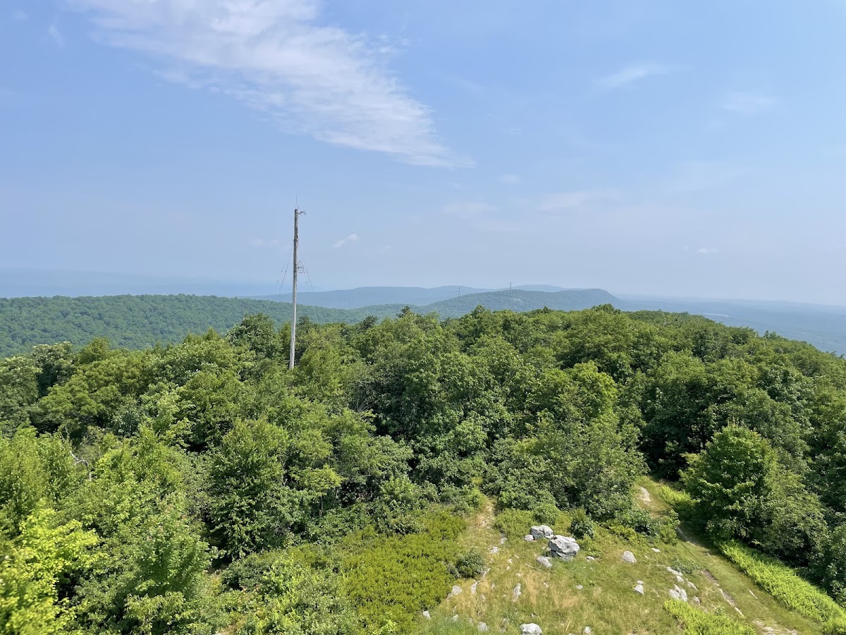 Rattlesnake Swamp Connector Trail