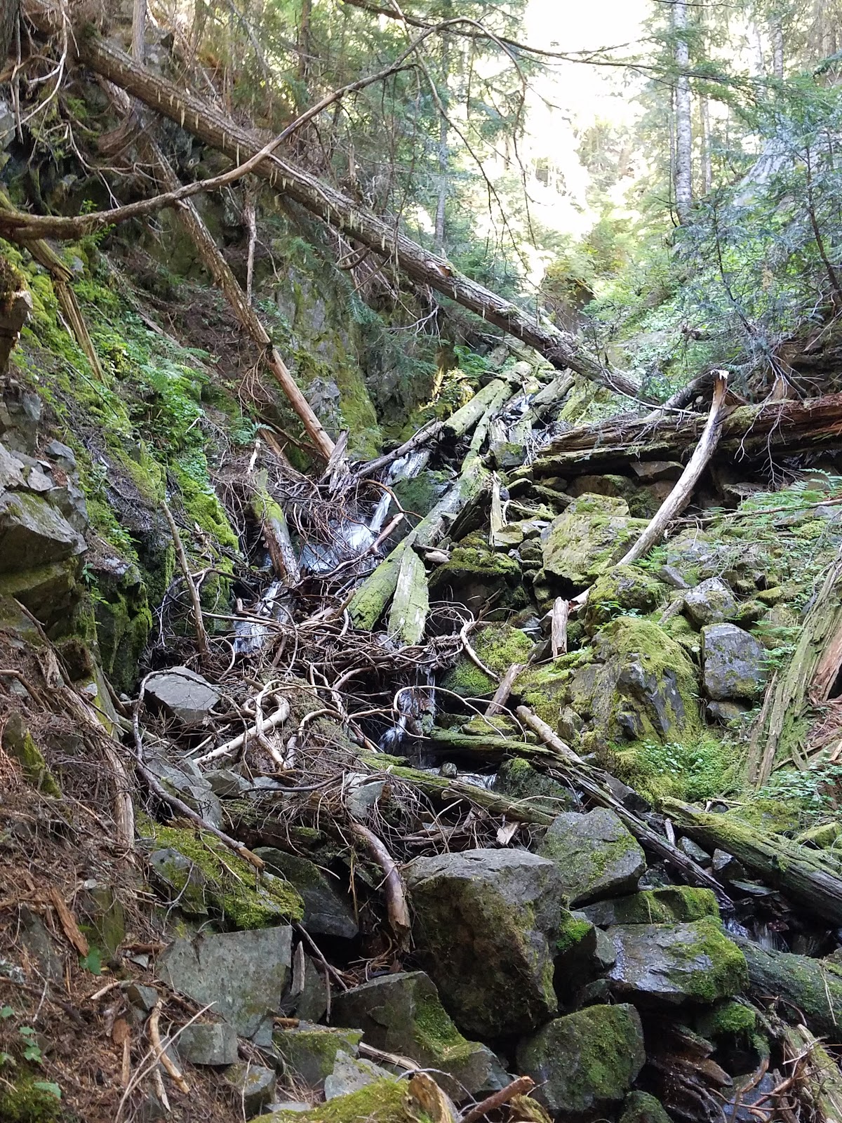 Deadwood Creek