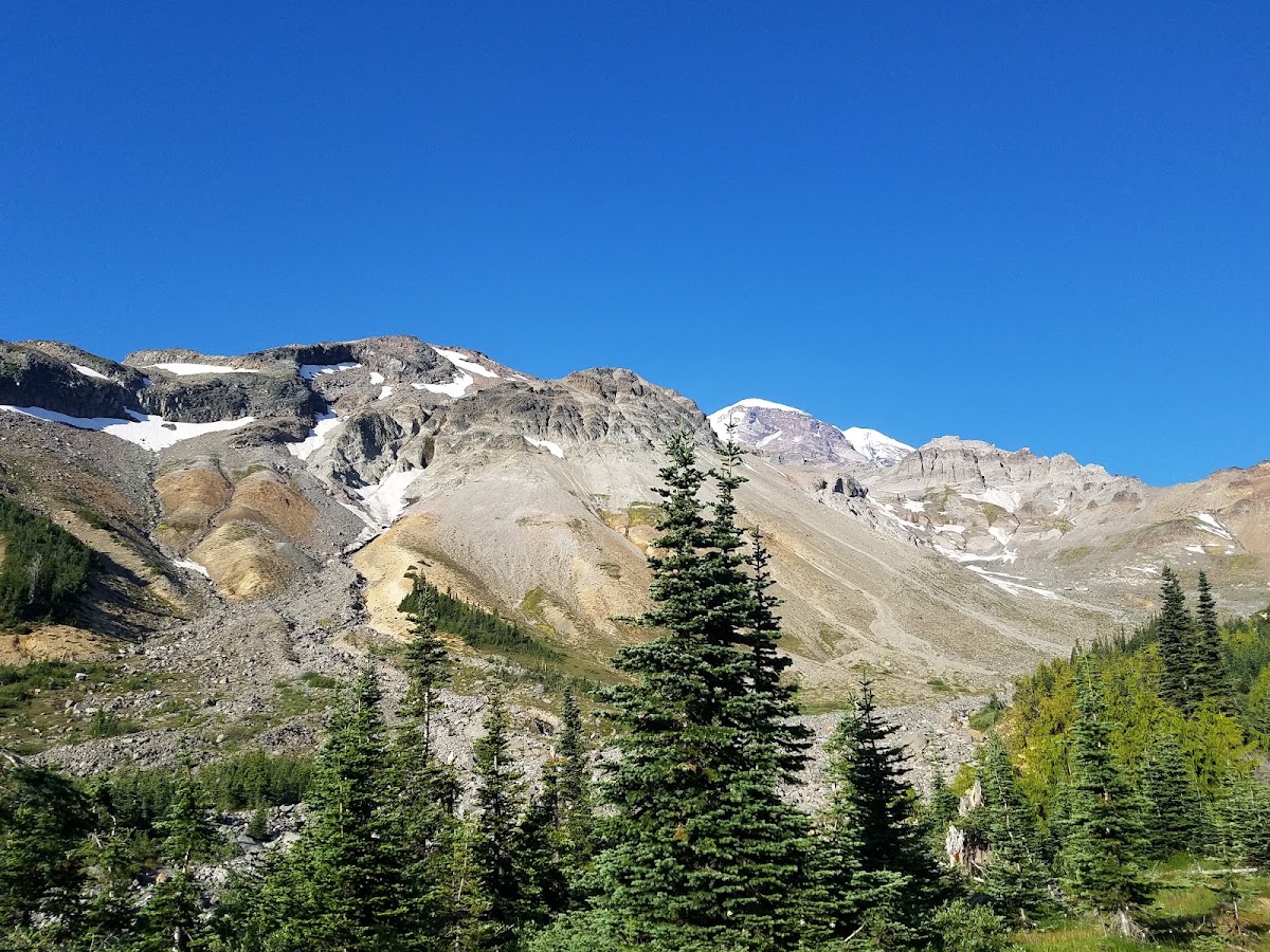 Glacier Basin Trail