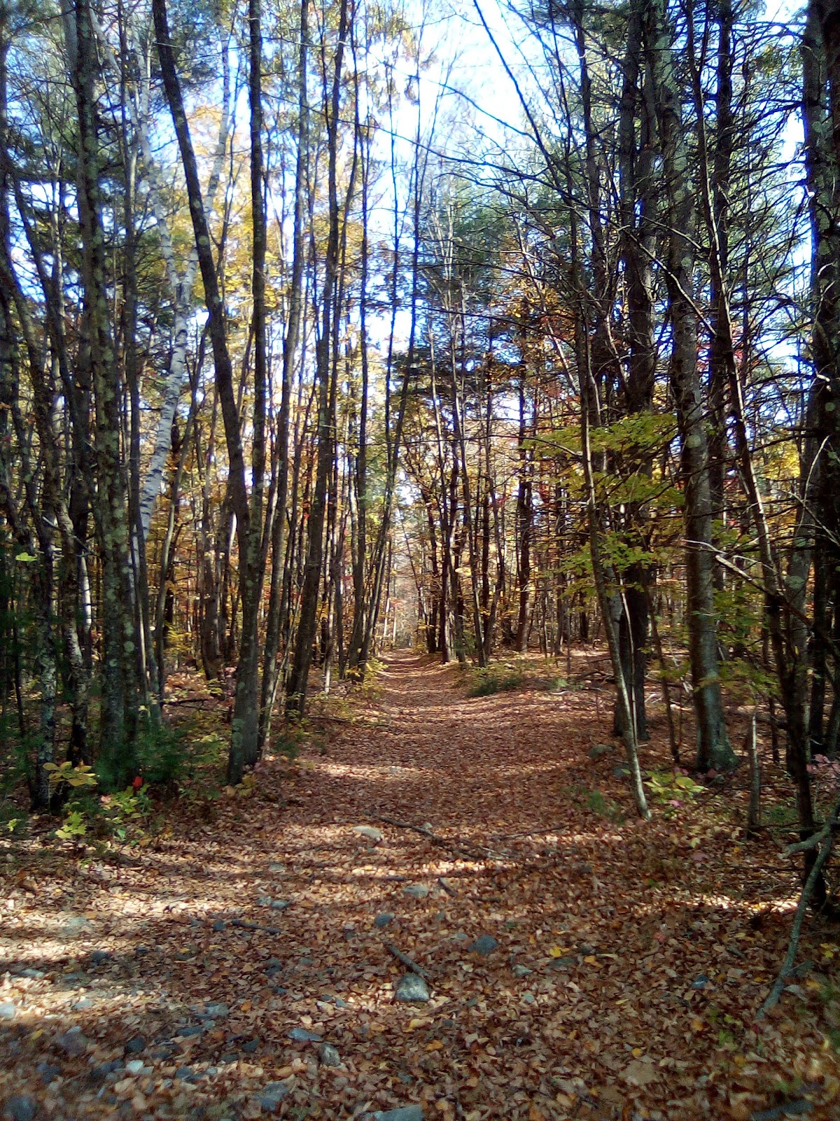 Quisset Wildlife Management Area
