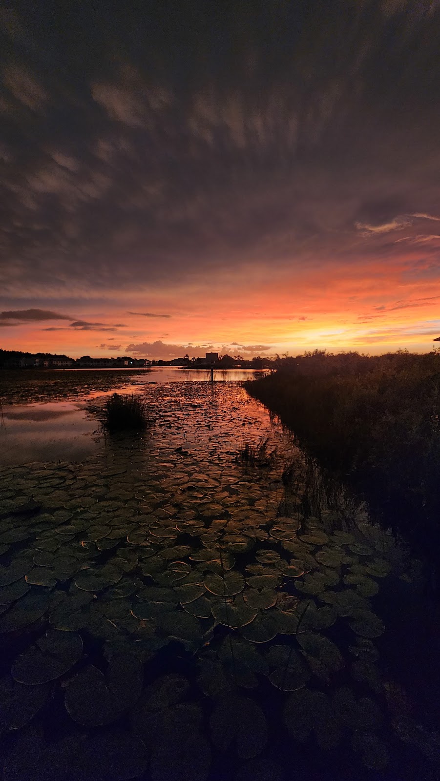 Grassy Lake