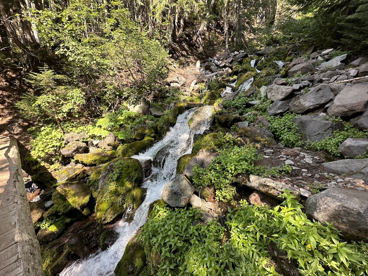 Spray Creek