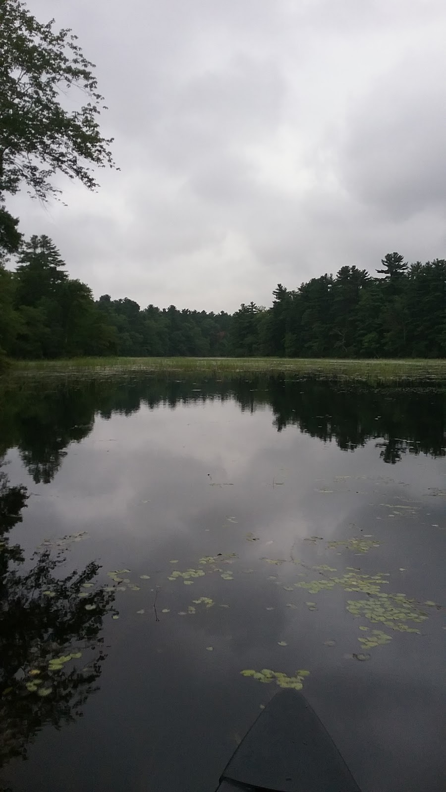 Reynold's Pond