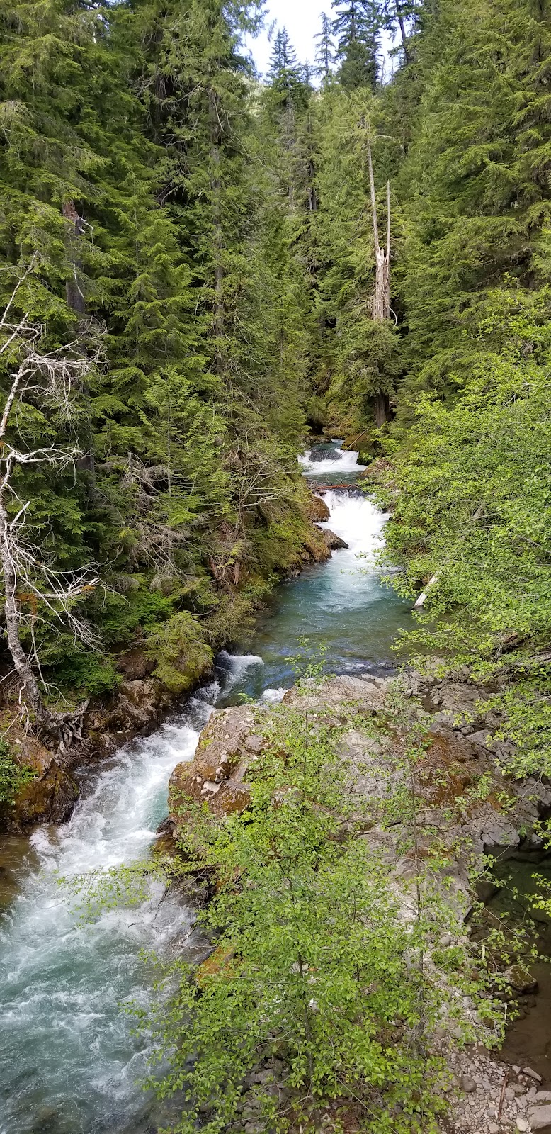 Panther Creek