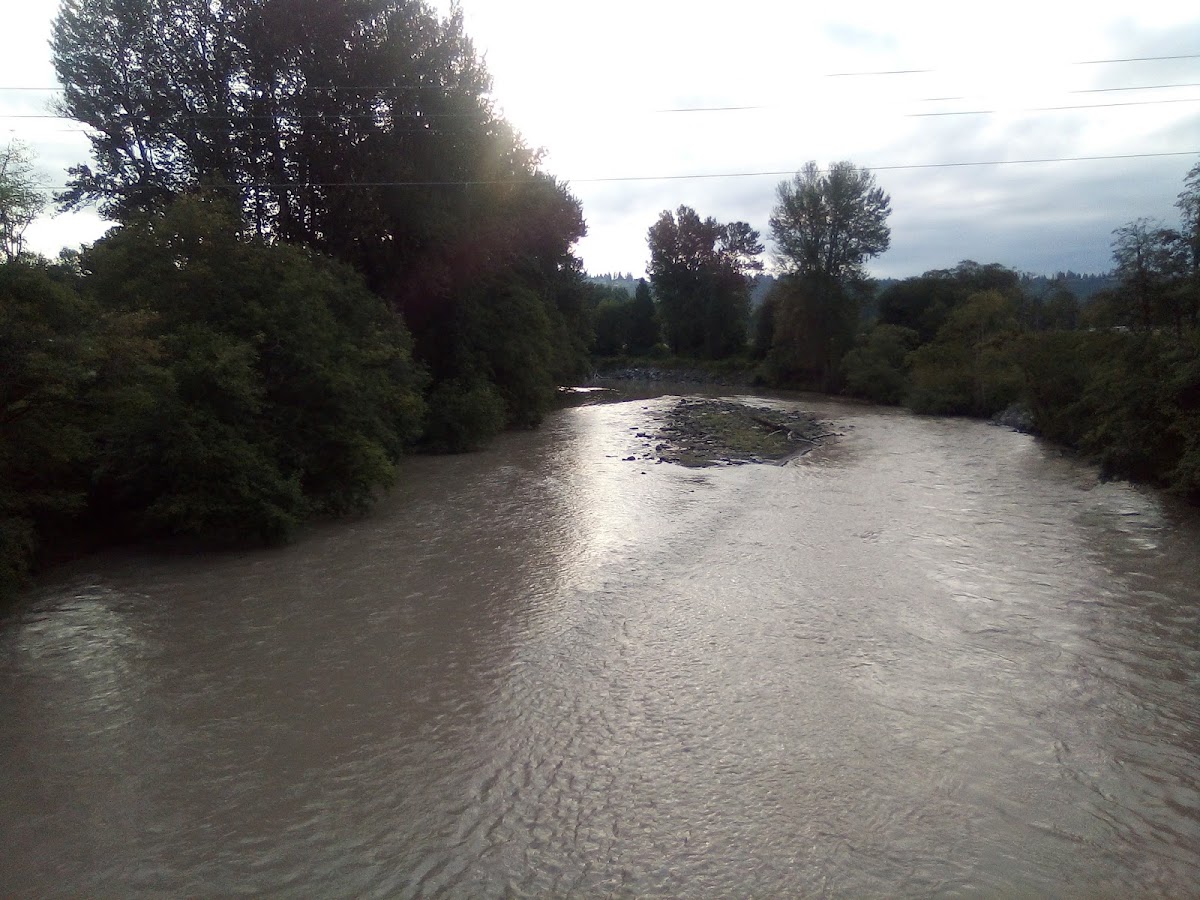 Puyallup River