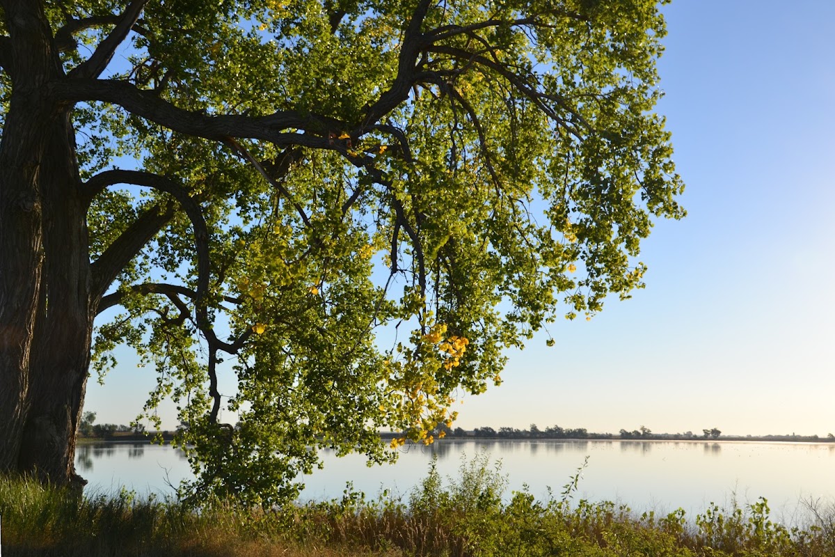 Silver Lake