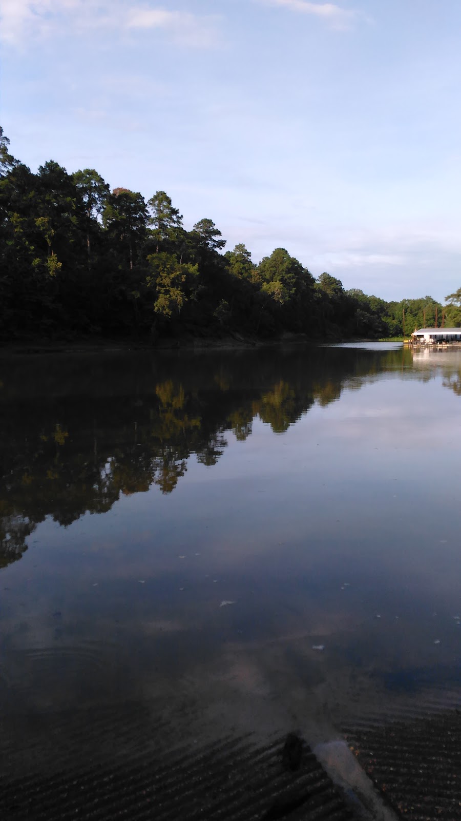 Bayou D'Arbonne