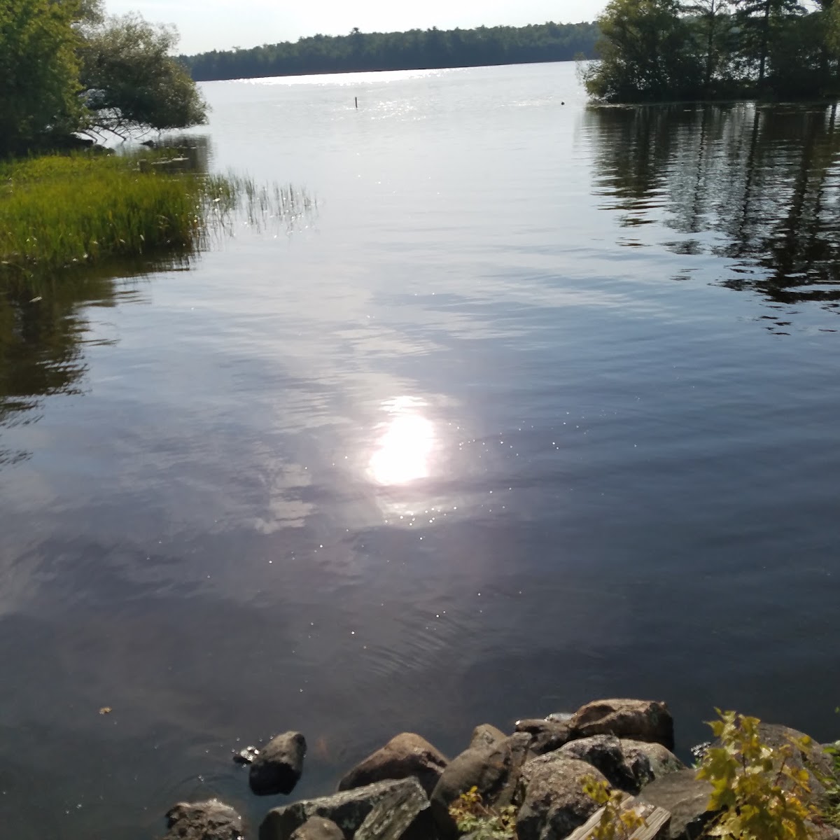 Pike Lake