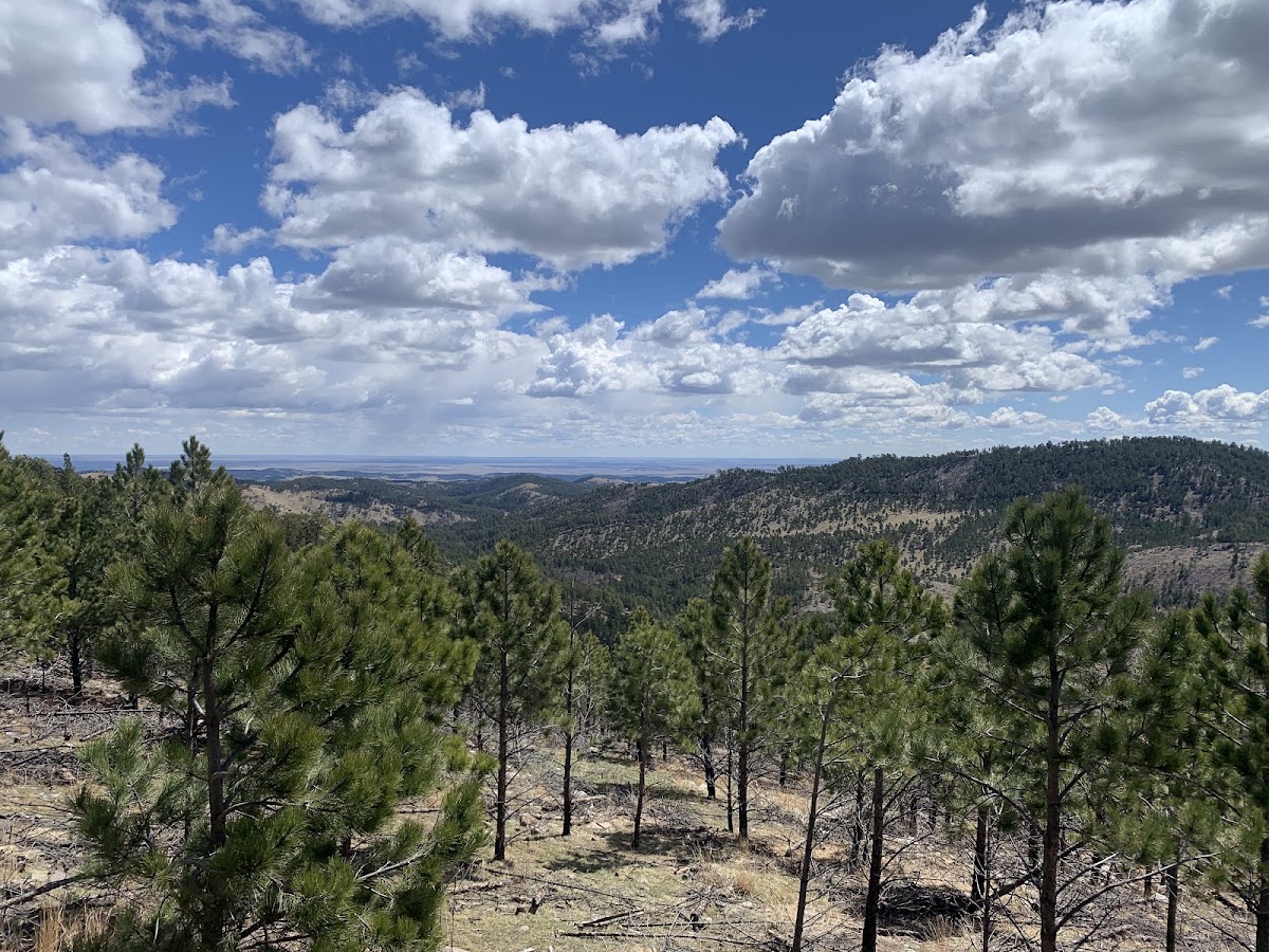 Heddy Draw Horse Trail