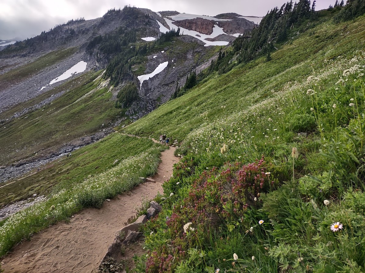 Golden Gate Trail