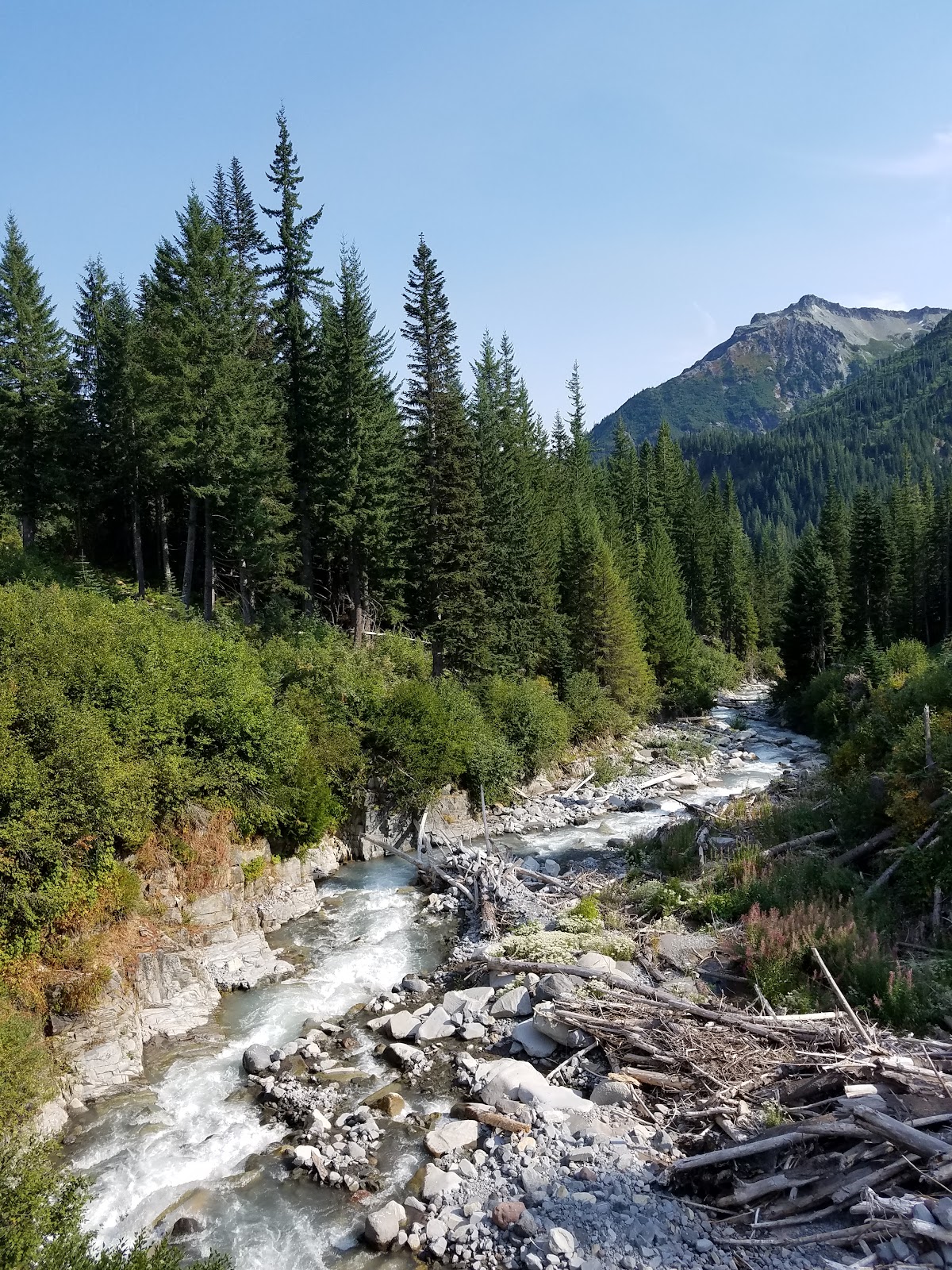 Stevens Creek