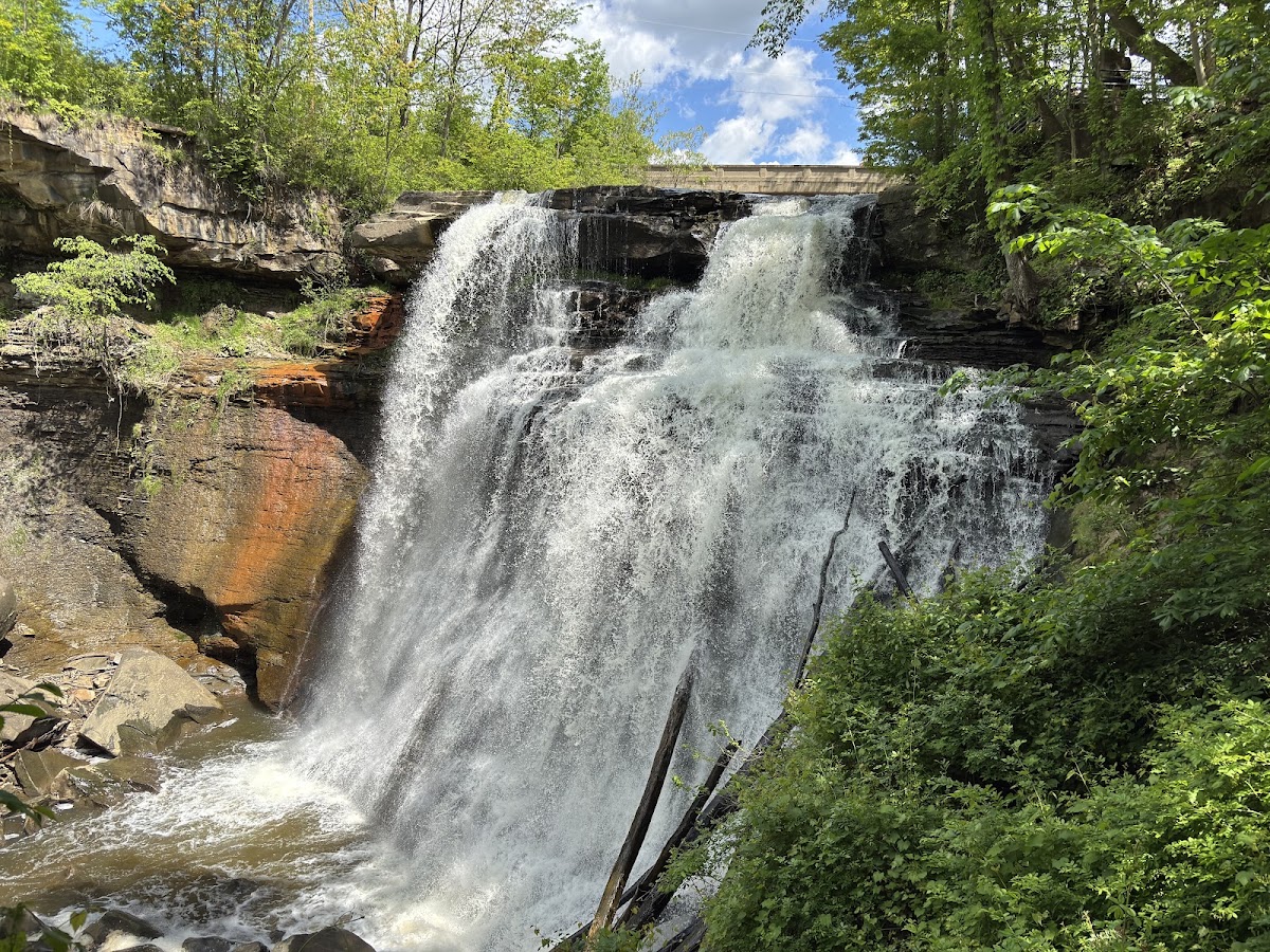Brandywine Gorge Loop