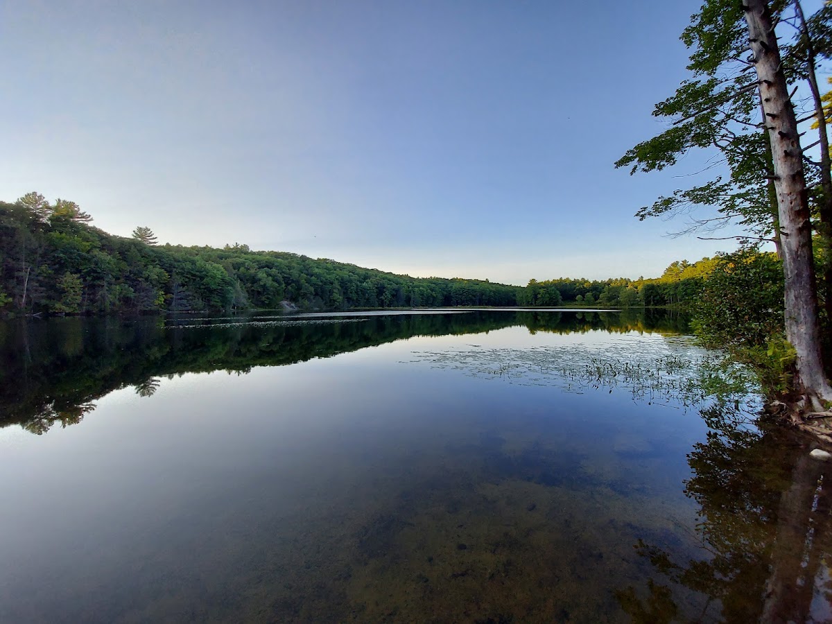 Pepperell Pond