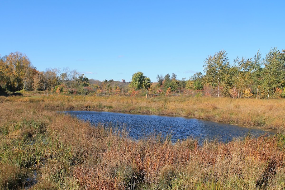 Alewife Brook Reservation